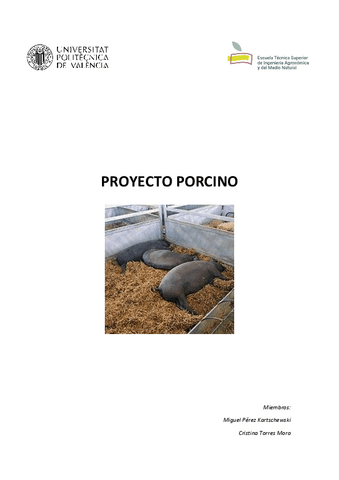 Proyecto-Porcino.pdf