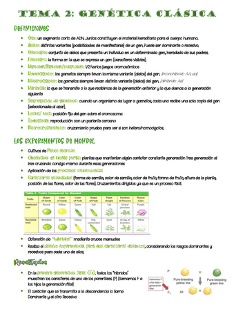 2-genetica-clasica.pdf