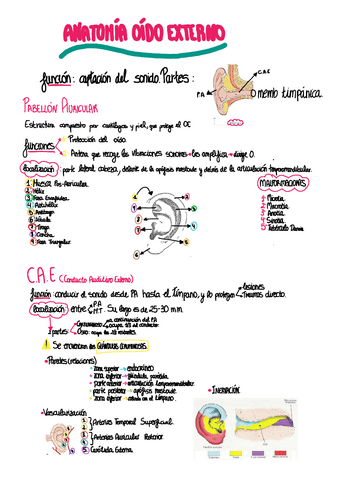 Anatomia-Del-Oido.pdf