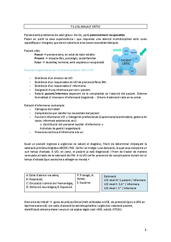 ADULT-ii- TOT-temari.pdf