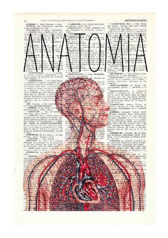 ANATOMIA-entera.pdf