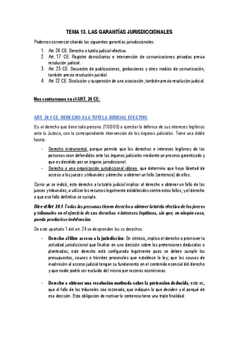 TEMA-13.-Las-Garantias-Jurisdiccionales.pdf