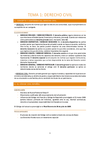 Apuntes-Derecho-Civil-T1-7-PDF.pdf