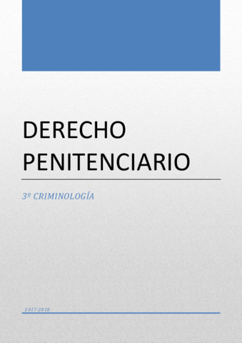 Apuntes Dcho Penitenciario.pdf