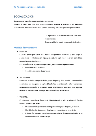 T3ProcesosAgentesSocializacion.pdf