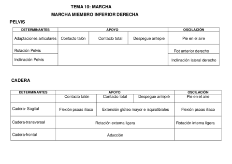 Tema-11-marcha-y-deformidades.pdf