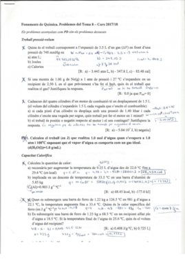 Problemes Tema 8 Primer Principi Termodinàmica.pdf