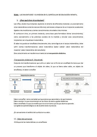 Tema-1-Magnitudes.pdf