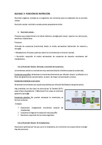 Tema-3.-Funcion-de-nutricion.pdf
