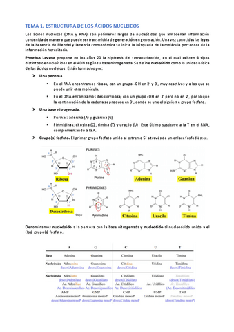 Bioquimica-II-y-Biologia-Molecular.-Procariotas.-2019-2020.pdf