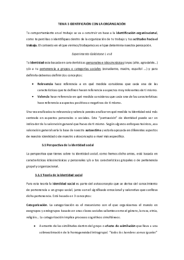 TEMA 3 IDENTIFICAIÓN CON LA ORGANIZACIÓN.pdf