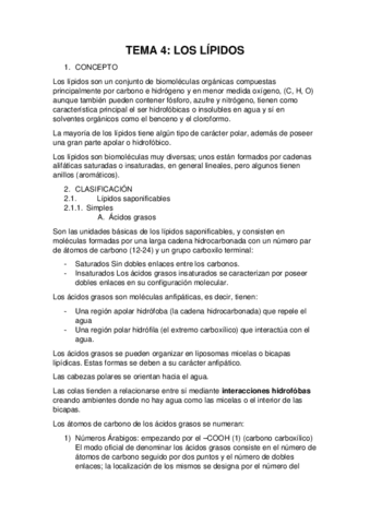 TEMA-4.pdf