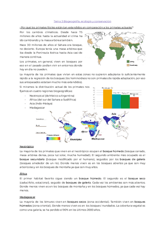 Tema3.pdf