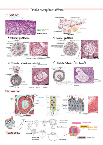 Laburpena-argazkiak-TEK-H.pdf