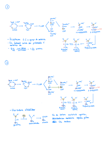 ariketak karb.pdf