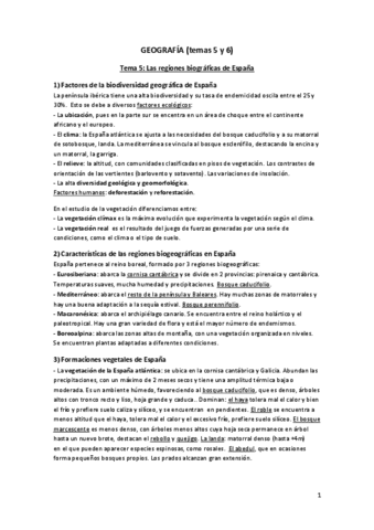 resumen-geografia-temas-5-y-6.pdf
