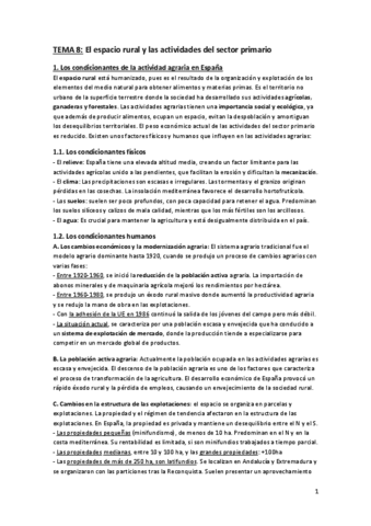 resumenes-GEOGRAFIA-tema-89.pdf