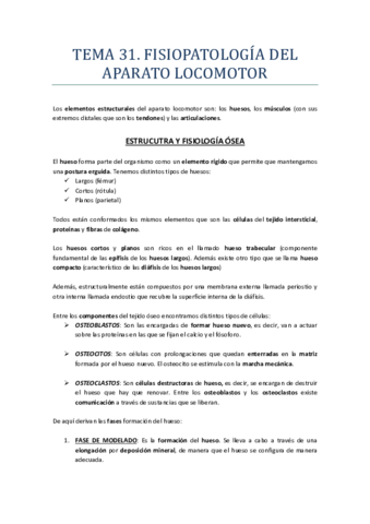 Miniatura del documento TEMA 31.pdf