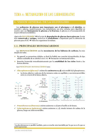 Tema-6-Metabolismo-de-los-carbohidratos.pdf