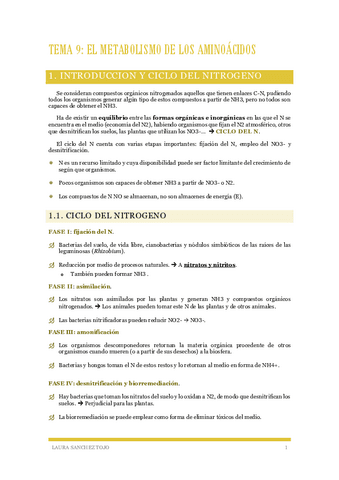 Tema-9-Metabolismo-de-los-aminoacidos.pdf
