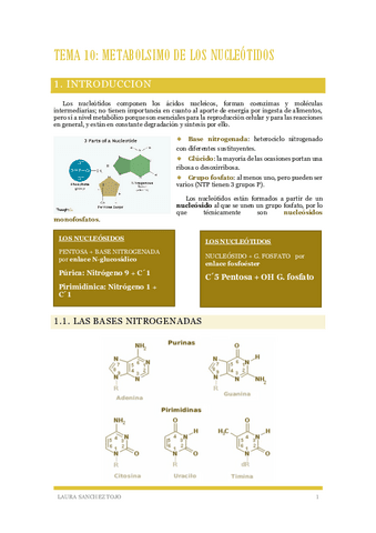 Tema-10-Metabolismo-de-los-nucleotidos.pdf