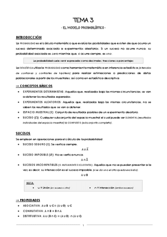 T3-El-Modelo-Probabilistico.pdf