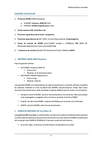dinamica-vesicular-II.pdf