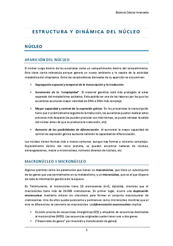 estructura-y-dinamica-del-nucleo-celular-I.pdf