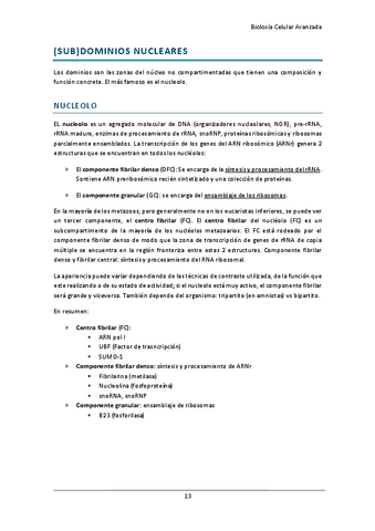 estructura-y-dinamica-del-nucleo-celular-II.pdf