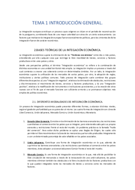 Economia de la union europea y de las instiruciones internacionales 2ADE.pdf