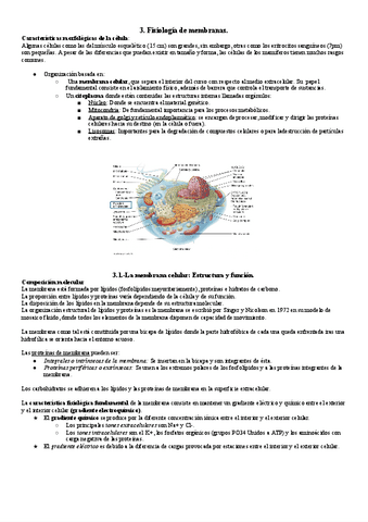 FISIO-CAPITULO-3-Documentos-de-Google.pdf