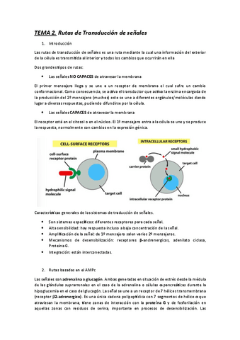 TEMA-2-BIOQUIMICA-METABOLICA-Y-MOLECULAR.pdf