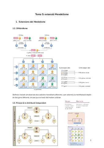 Tema-5-extensio-Mendelisme.pdf