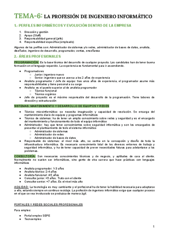 TEMA-6-LA-PROFESION-DE-INGENIERO-INFORMATICO-1.pdf