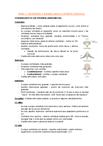 TEMA-1.-ANATOMIA-Y-BIOMECANICA-CRANEO-CERVICAL.pdf