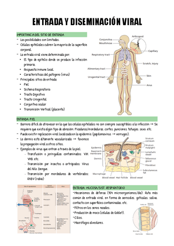 TEMA-5.pdf