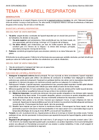 TEMA-1.-APARELL-RESPIRATORI.-AH-III-APUNTS-1-30.pdf