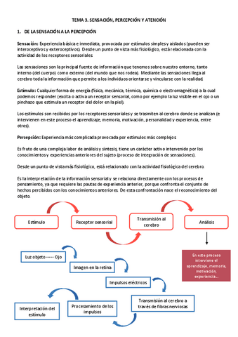 TEMA-3.-Psicologia-general.pdf