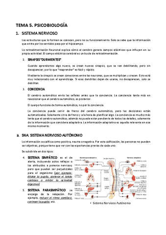 PSICO-MKT-TEMA-5.pdf
