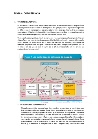 4.-COMPETENCIA.pdf
