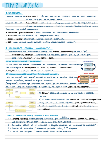 RESUM-T2-HOMEOSTASI.pdf