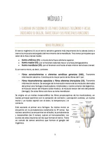 MODULO-2.pdf