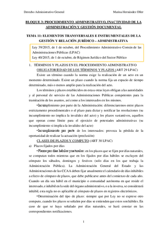 TEMA-11-ADMINISTRATIVO.pdf