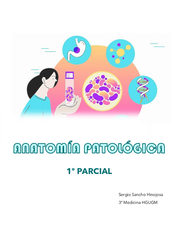 1.-AP-1o-parcial-1a-parte-Sergio-Sancho-Hinojosa.pdf