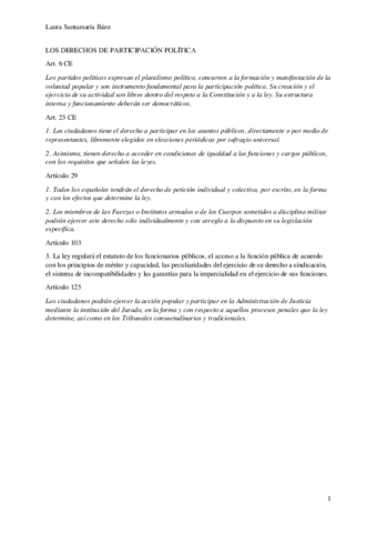 Art.-23-CE-Los-derechos-de-participacion-politica.pdf