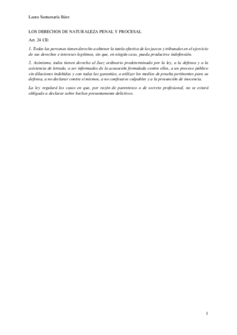 Art.-24-CE-Los-derechos-de-naturaleza-penal-y-procesal.pdf