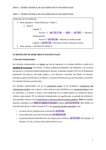 TEMA-1-TEORIA-GENERAL-DE-LOS-DERECHOS-FUNDAMENTALES-copia.pdf