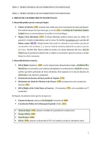 TEMA-1-TEORIA-GENERAL-DE-LOS-DERECHOS-FUNDAMENTALES.pdf