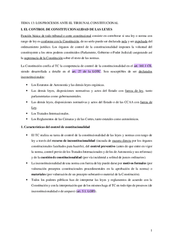 TEMA-13-LOS-PROCESOS-ANTE-EL-TRIBUNAL-CONSTITUCIONAL.pdf