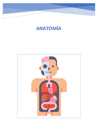 Anatomia-Resumen-1o-cuatri-completo.pdf